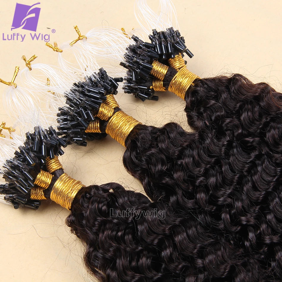 Micro Loop Human Hair Extensions Curly Microlink Hair Extensions for Black Women Burmese Micro Ring Loop Extensions Human Hair