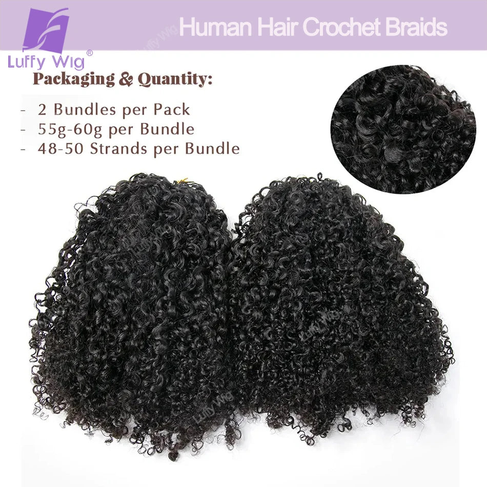 Afro Kinky Curly Human Hair Crochet Braids Extensions Real Mongolian Remy Human Hair Feather Bundles For Braiding 3C 4A Curly