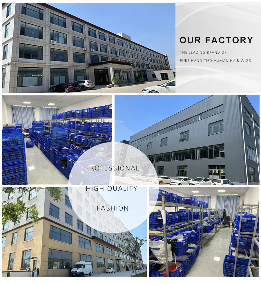 250% Density 100 Human Hair Wig 13x6 Real HD Lace Front Human Hair Glueless Wigs Preplucked Princess Woman Wigs Ready To Wear