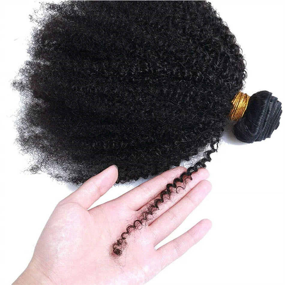 Afro Kinky Curly Human Hair Brazilian Virgin 100% Human Hair Extensions Natural Color Weave 1/3/4 Bundles Double Weft Extensions